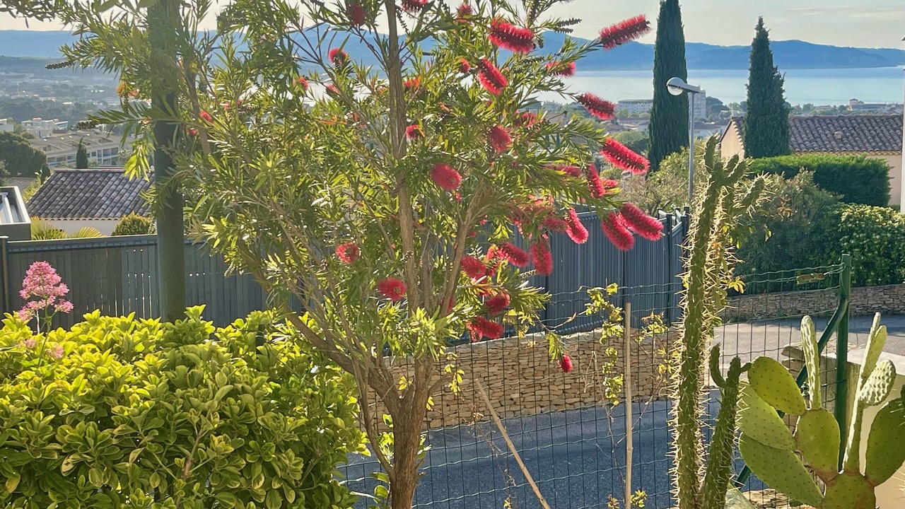 Photo of Outdoor in La Ciotat