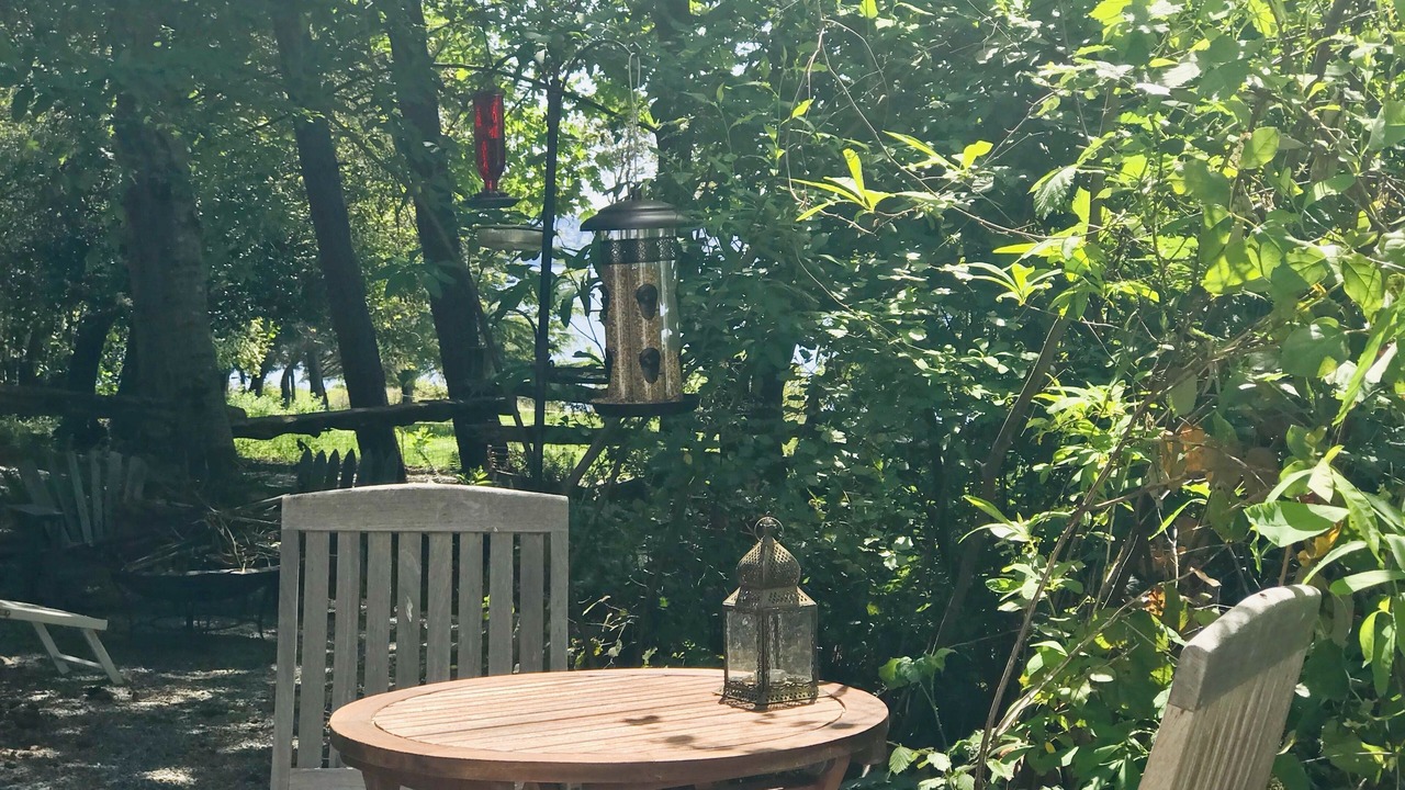 Photo of Others in Vashon Island