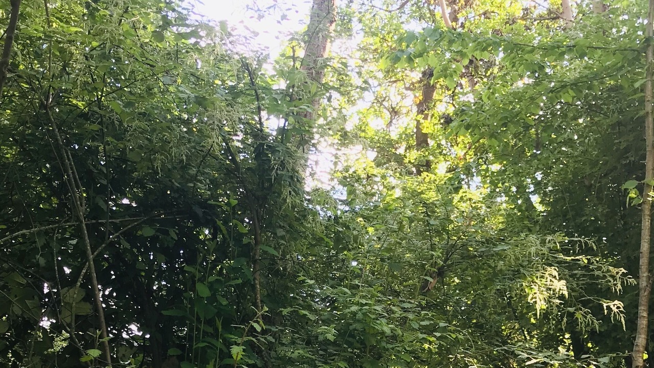 Photo of Others in Vashon Island