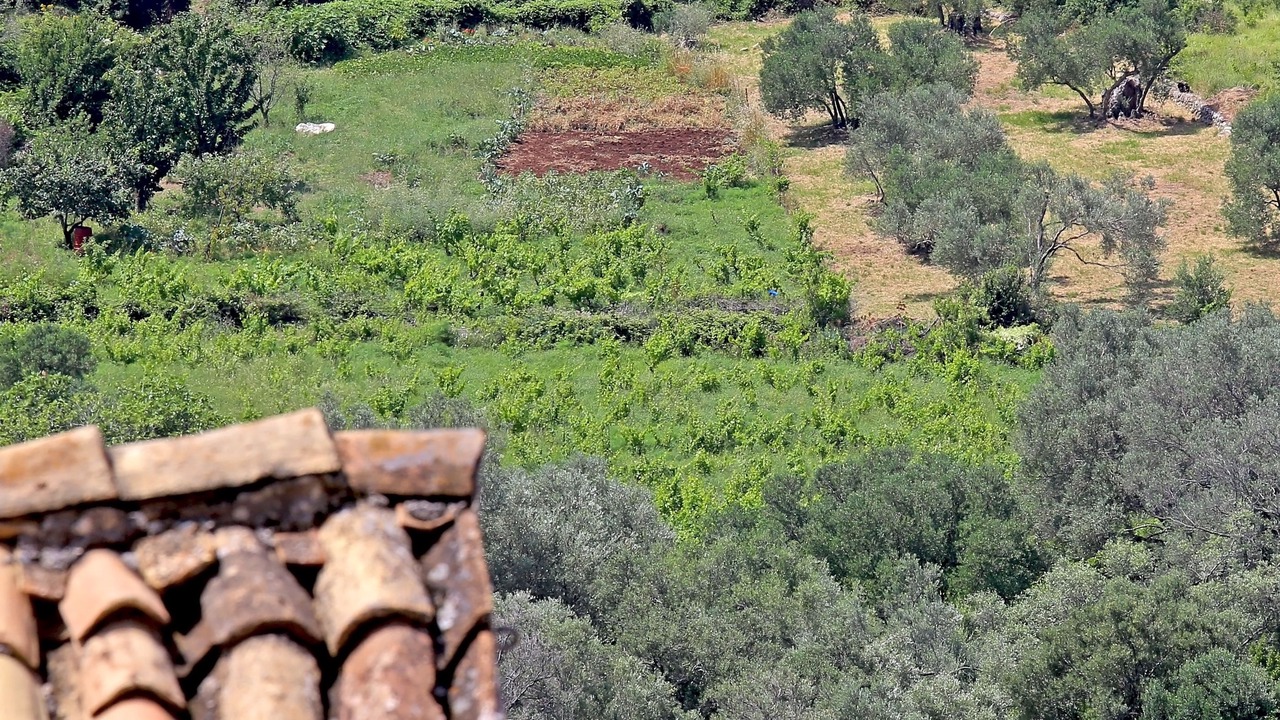 Photo of Outdoor in Babino Polje