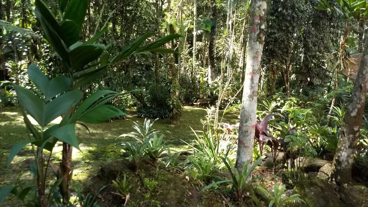 Photo of Outdoor in Penedo