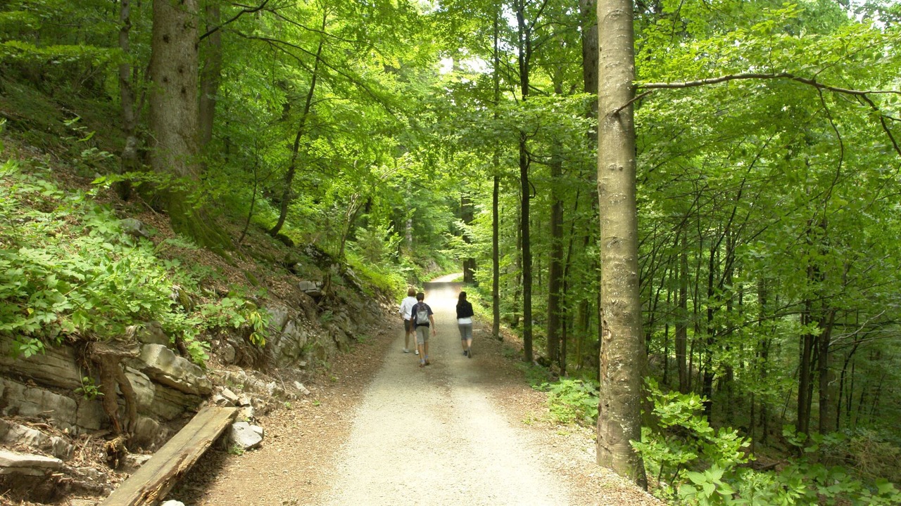 Photo of Others in Mrkopalj