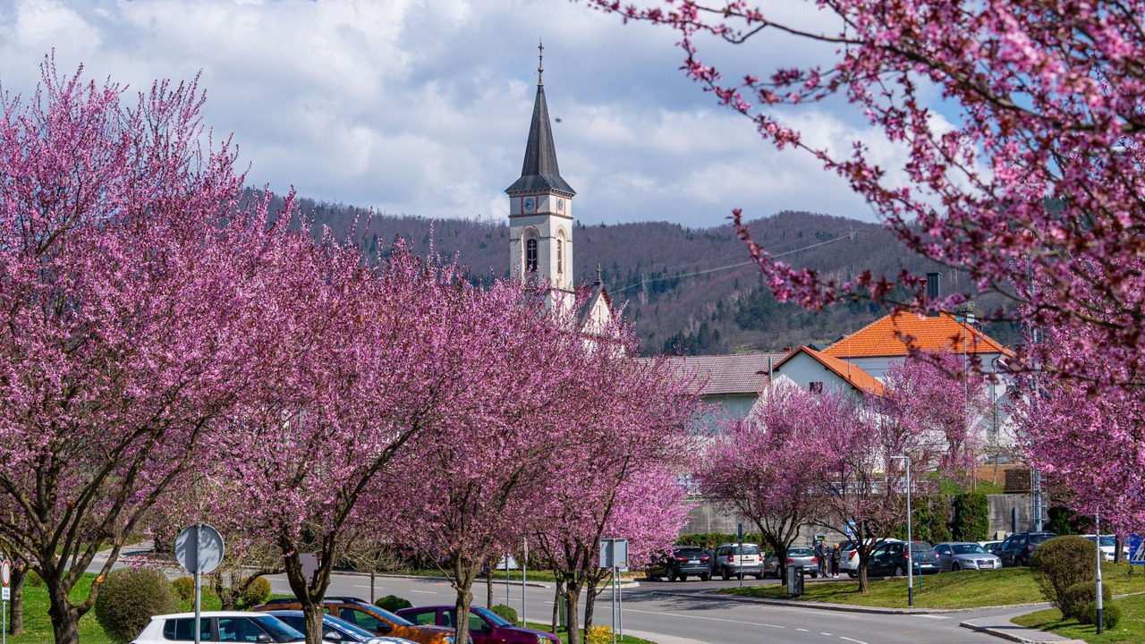 Photo of Others in Vrbovsko