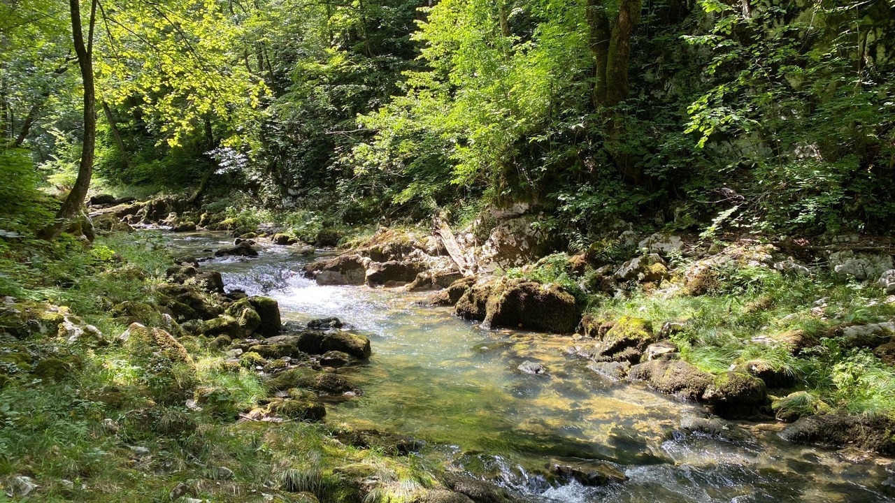 Photo of Others in Vrbovsko