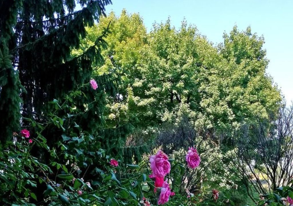 Photo of Outdoor in Zagreb