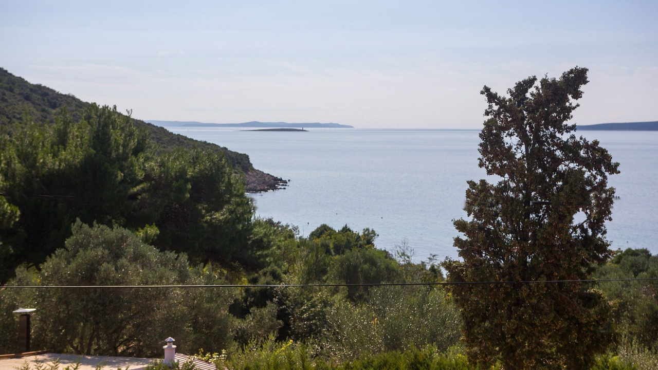 Photo of Others in Miholascica