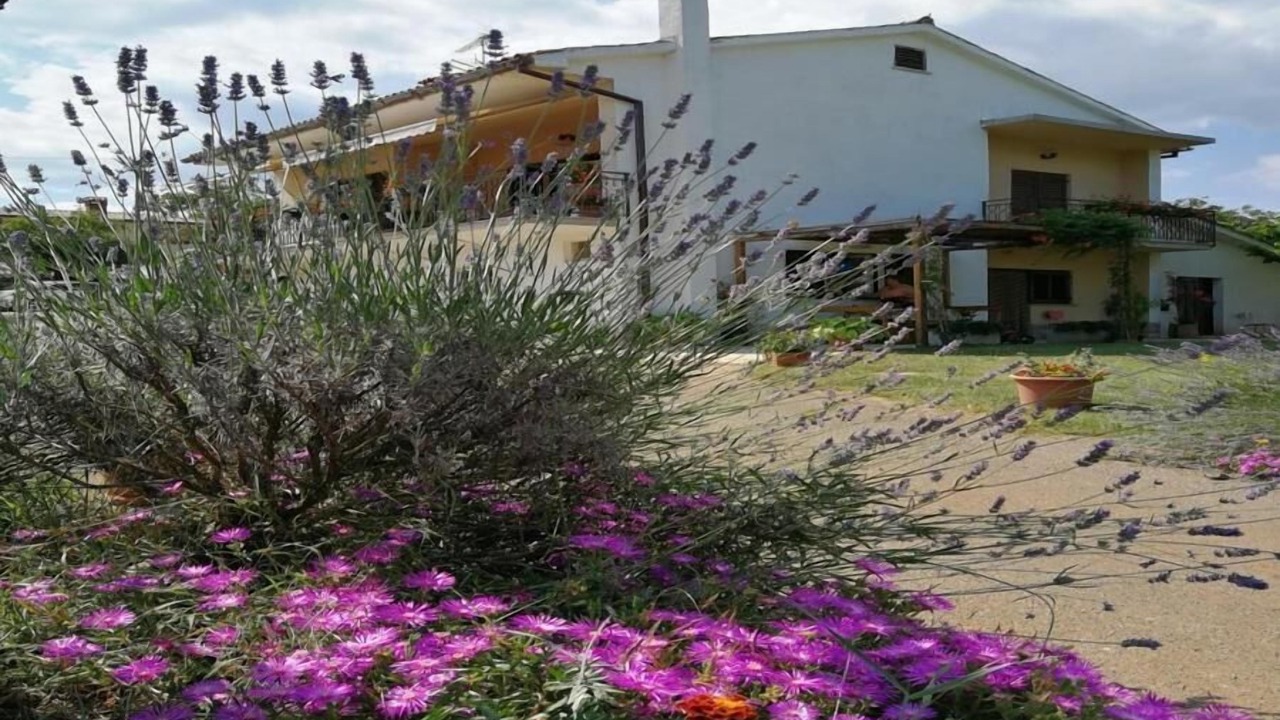 Photo of Outdoor in Makovci