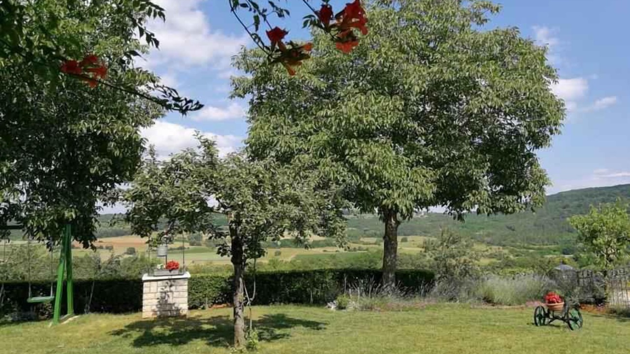 Photo of Outdoor in Makovci