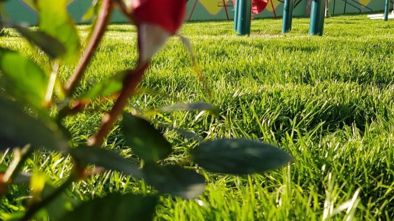 Photo of Outdoor in Sestanovac