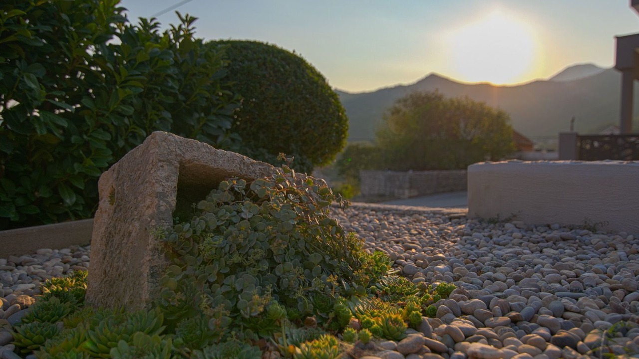 Photo of Outdoor in Seoca