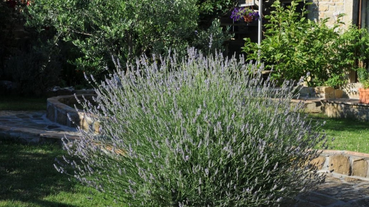 Photo of Outdoor in Bric