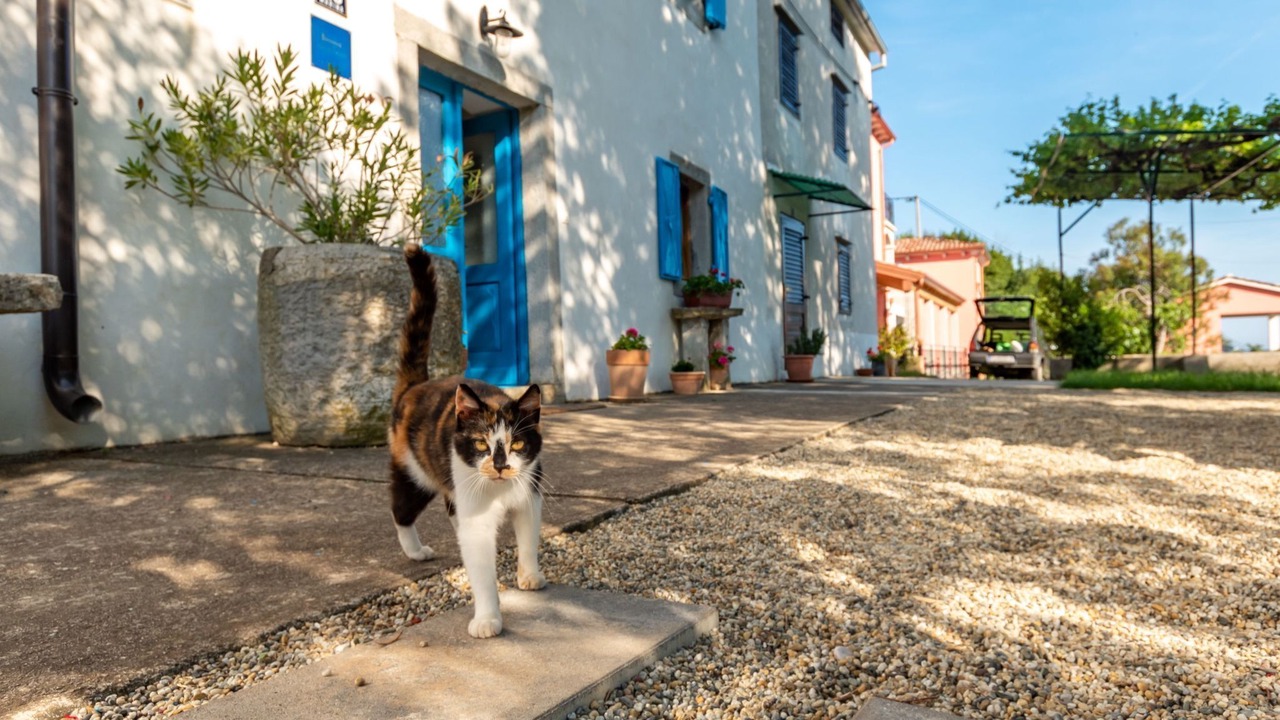 Photo of Outdoor in Sveta Marina