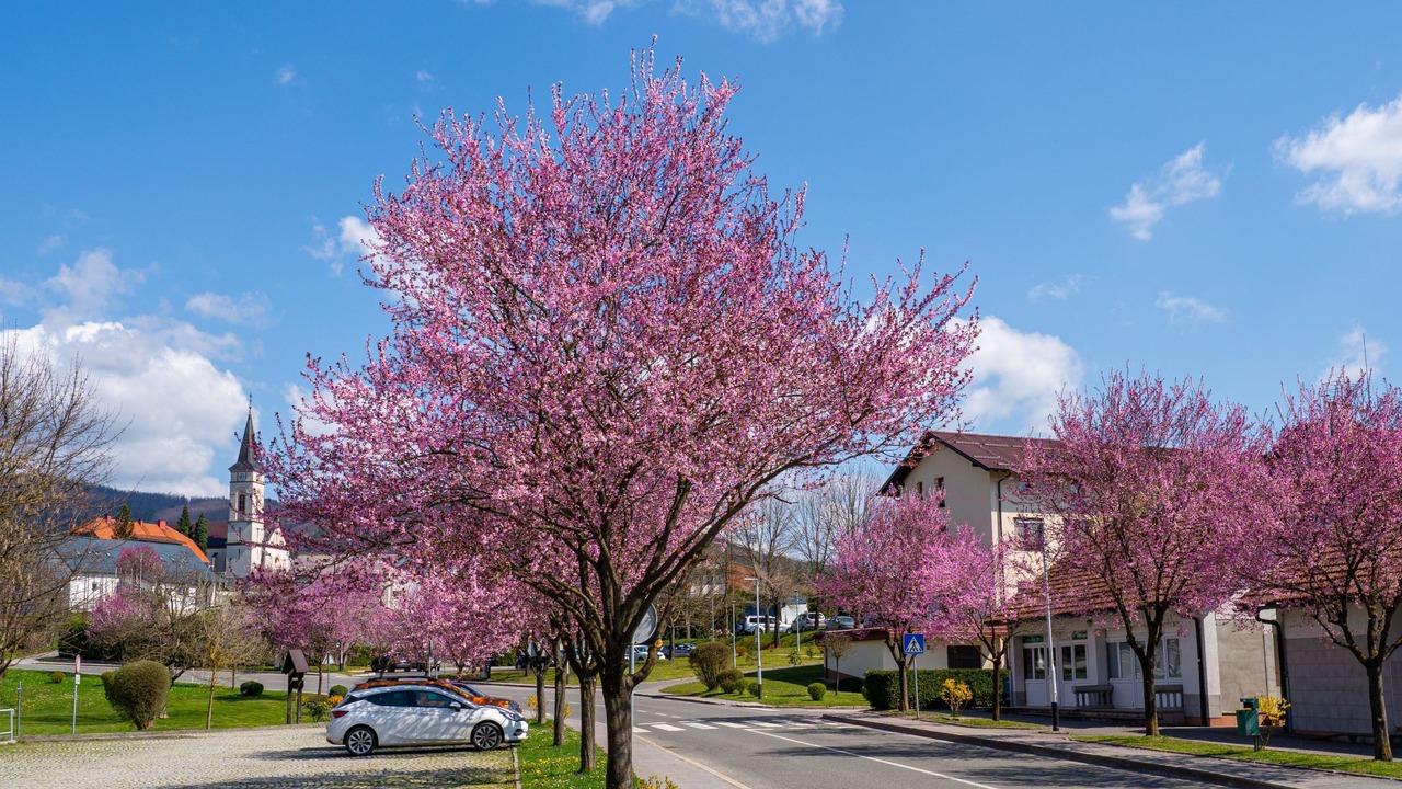 Photo of Others in Vrbovsko