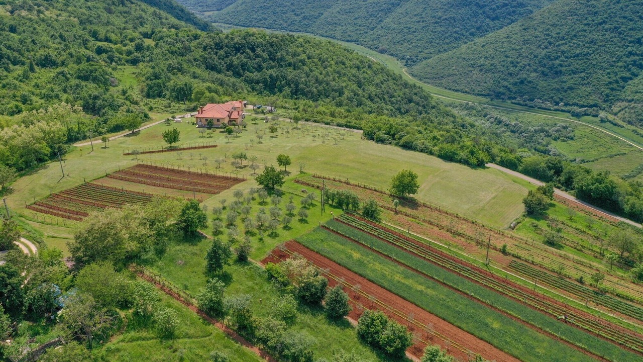 Photo of Outdoor in Martinski