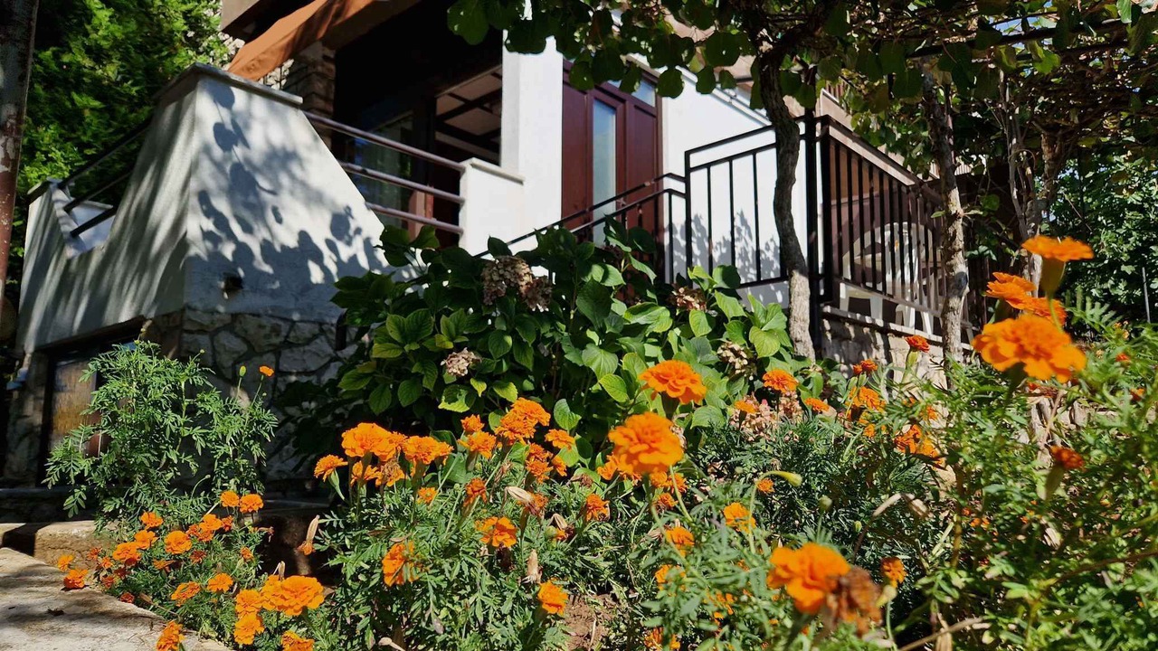 Photo of Outdoor in Strmac