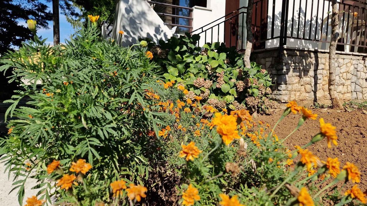 Photo of Outdoor in Strmac
