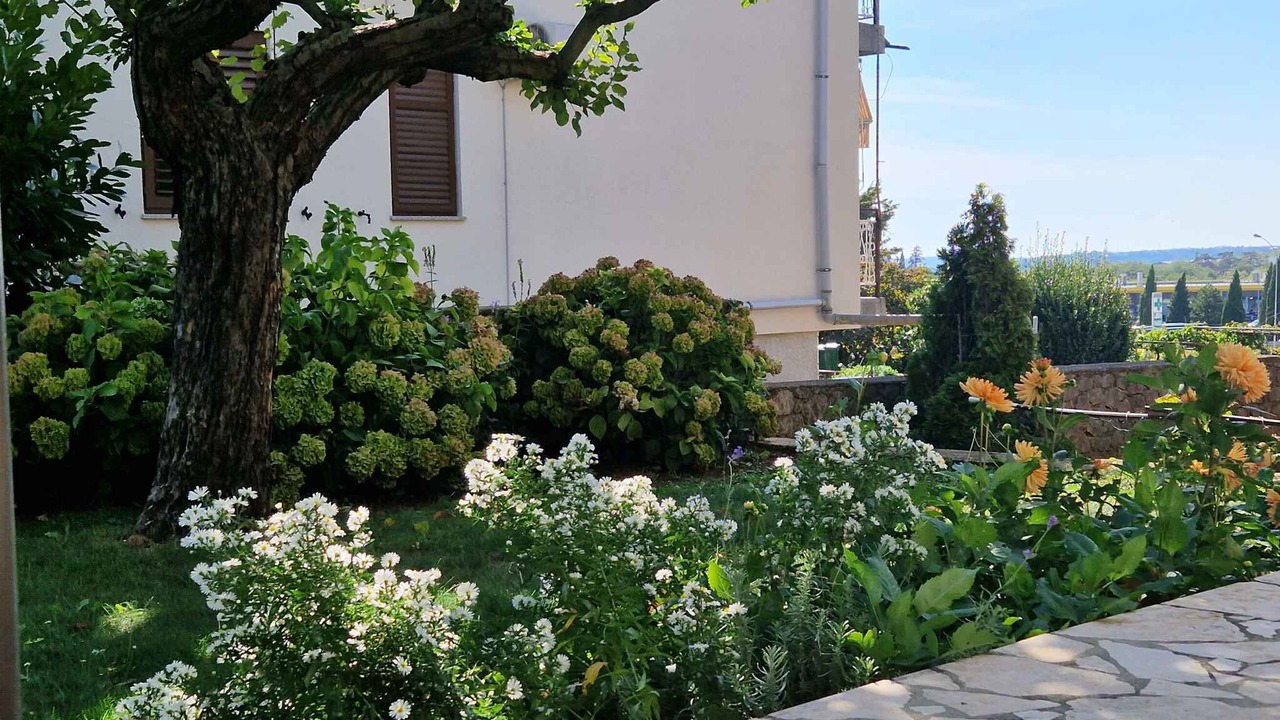 Photo of Outdoor in Strmac