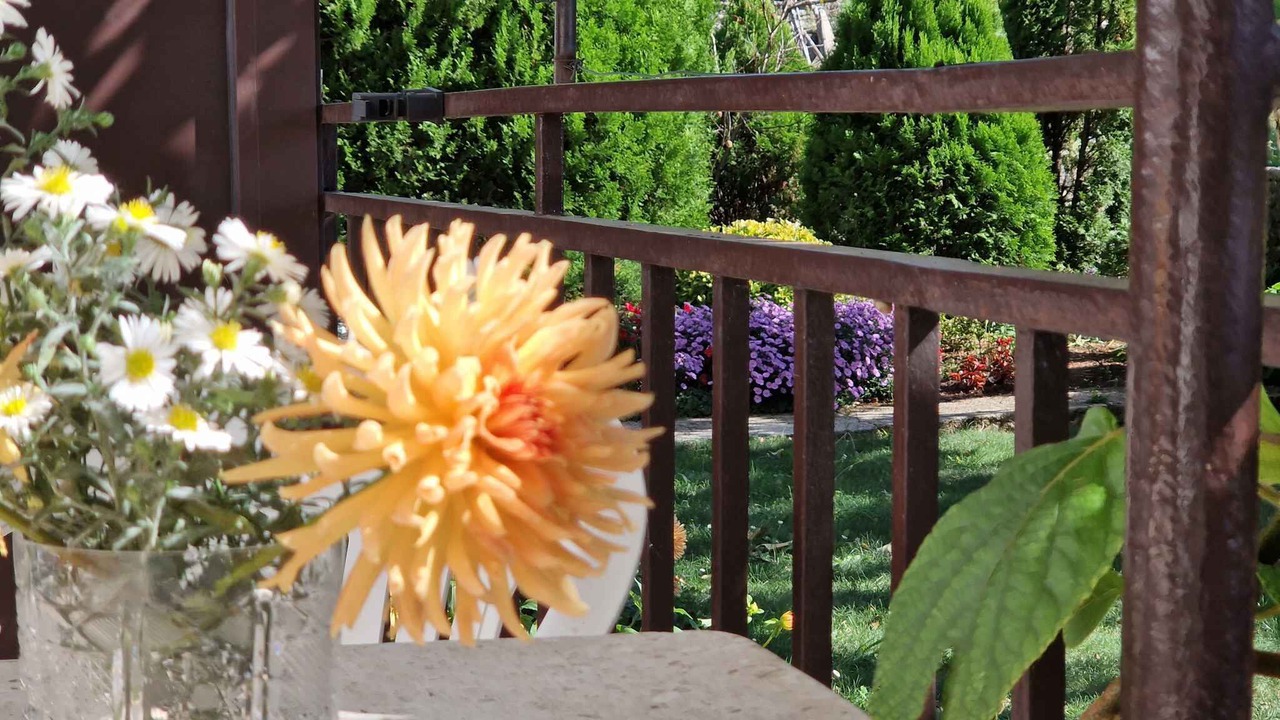 Photo of Outdoor in Strmac