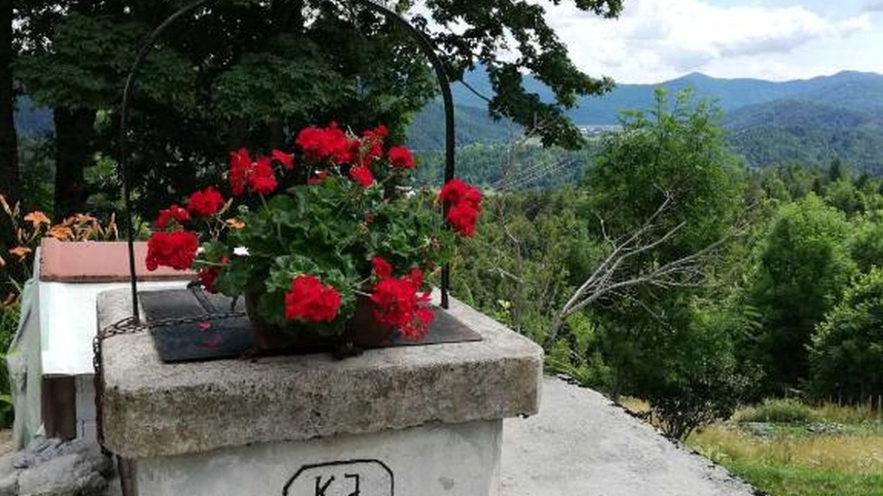 Photo of Others in Brestova Draga