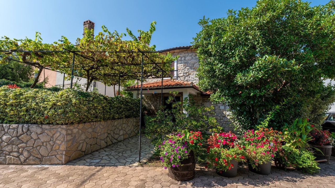Photo of Outdoor in Nedescina
