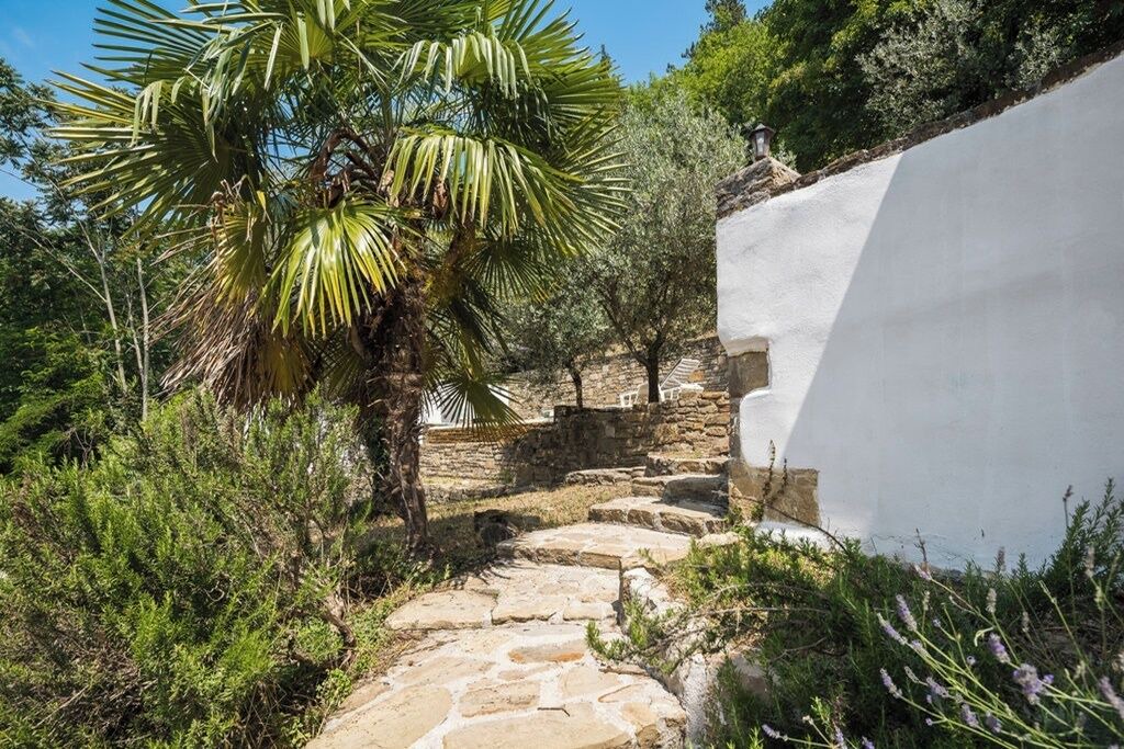 Photo of Outdoor in Golubici