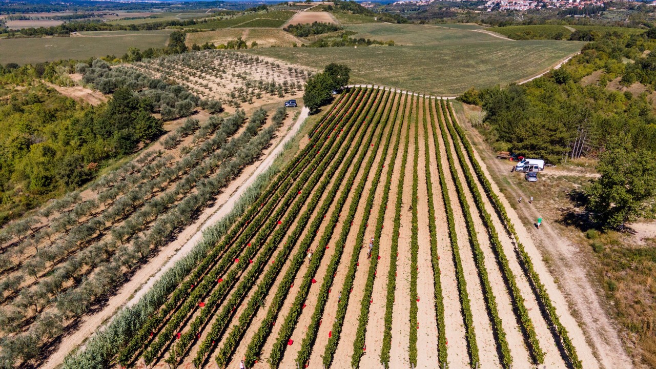 Photo of Outdoor in Baredine