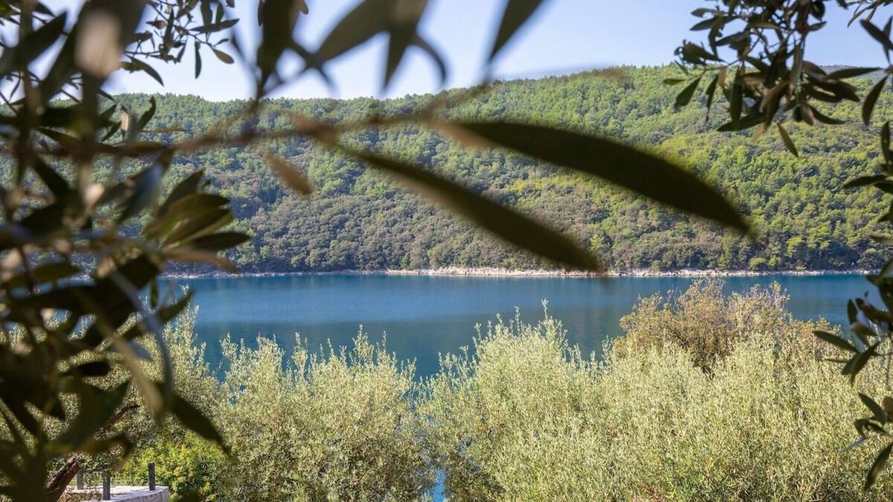 Photo of Others in Duga Luka