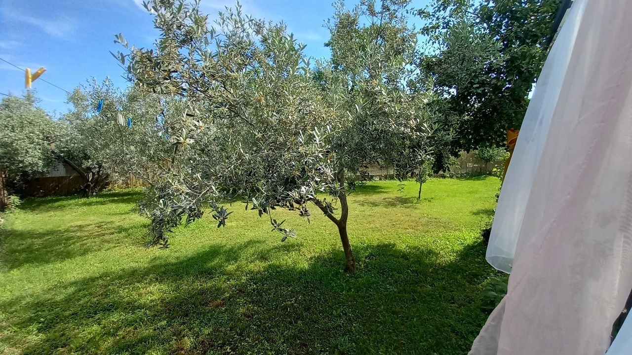 Photo of Outdoor in Loborika