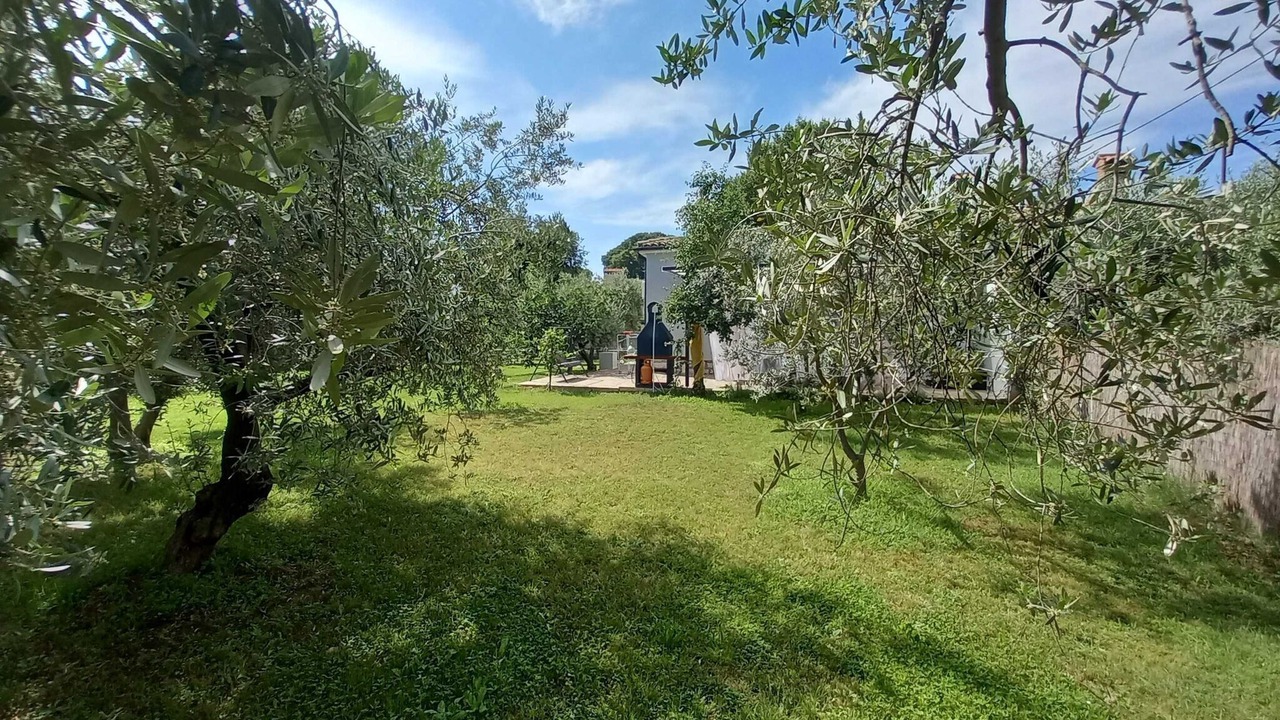 Photo of Outdoor in Loborika
