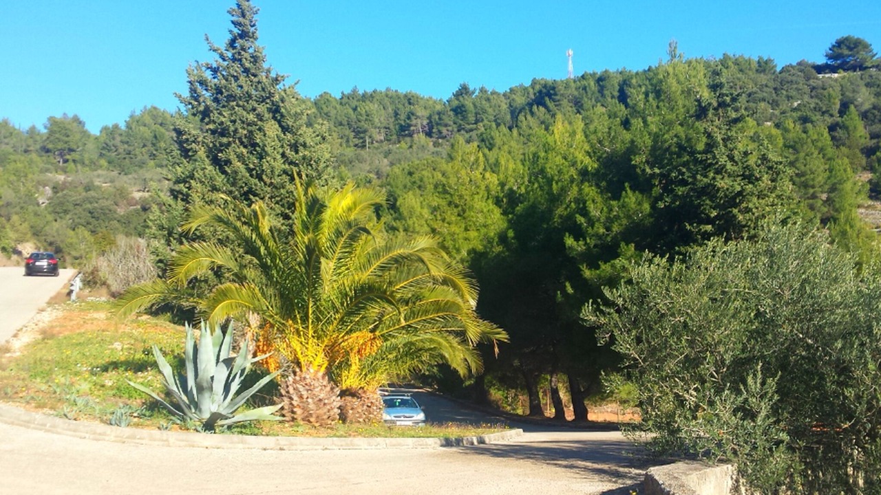 Photo of Others in Vela Luka
