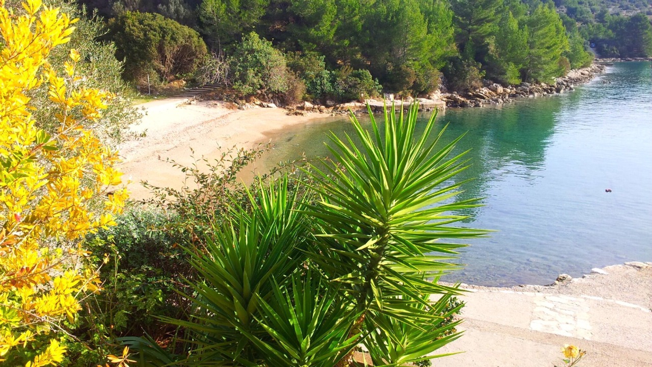 Photo of Others in Vela Luka