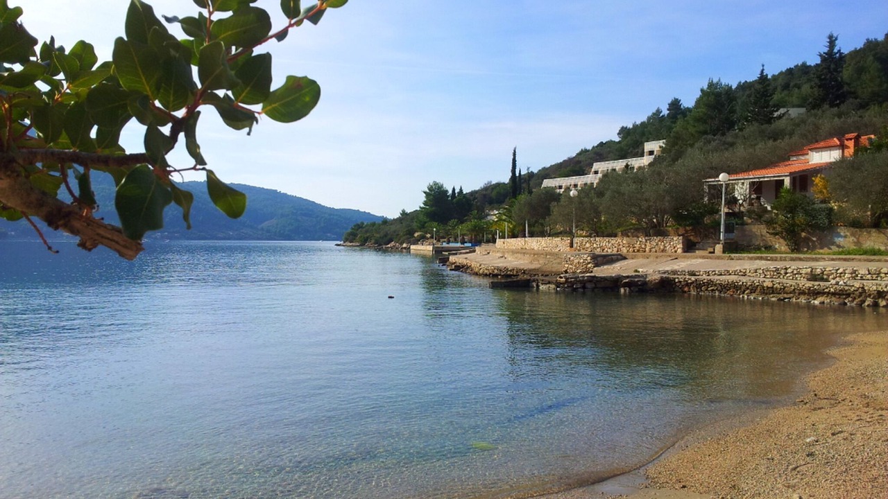 Photo of Others in Vela Luka