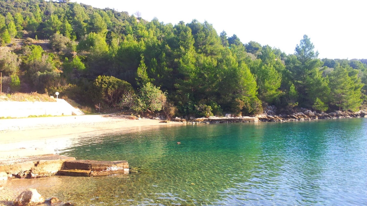 Photo of Others in Vela Luka