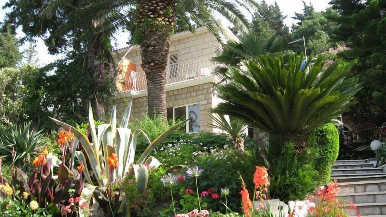 Photo of Outdoor in Mlini