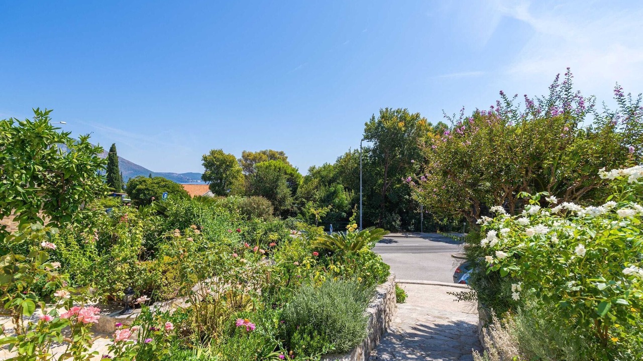 Photo of Outdoor in Mlini