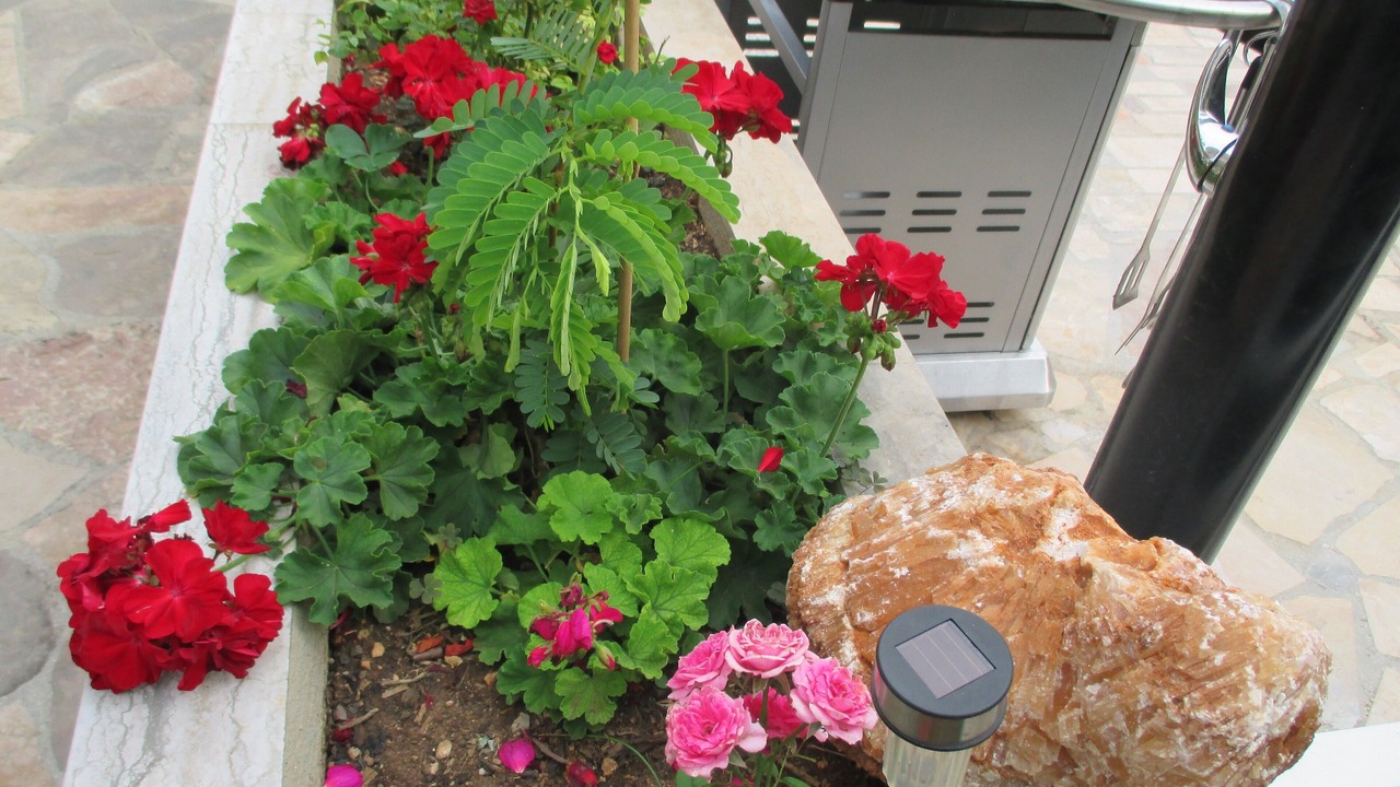 Photo of Outdoor in Tice