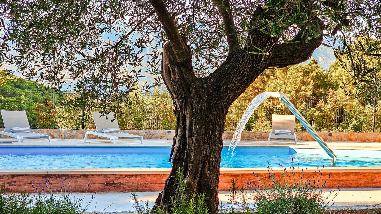 Photo of Outdoor in Splitska