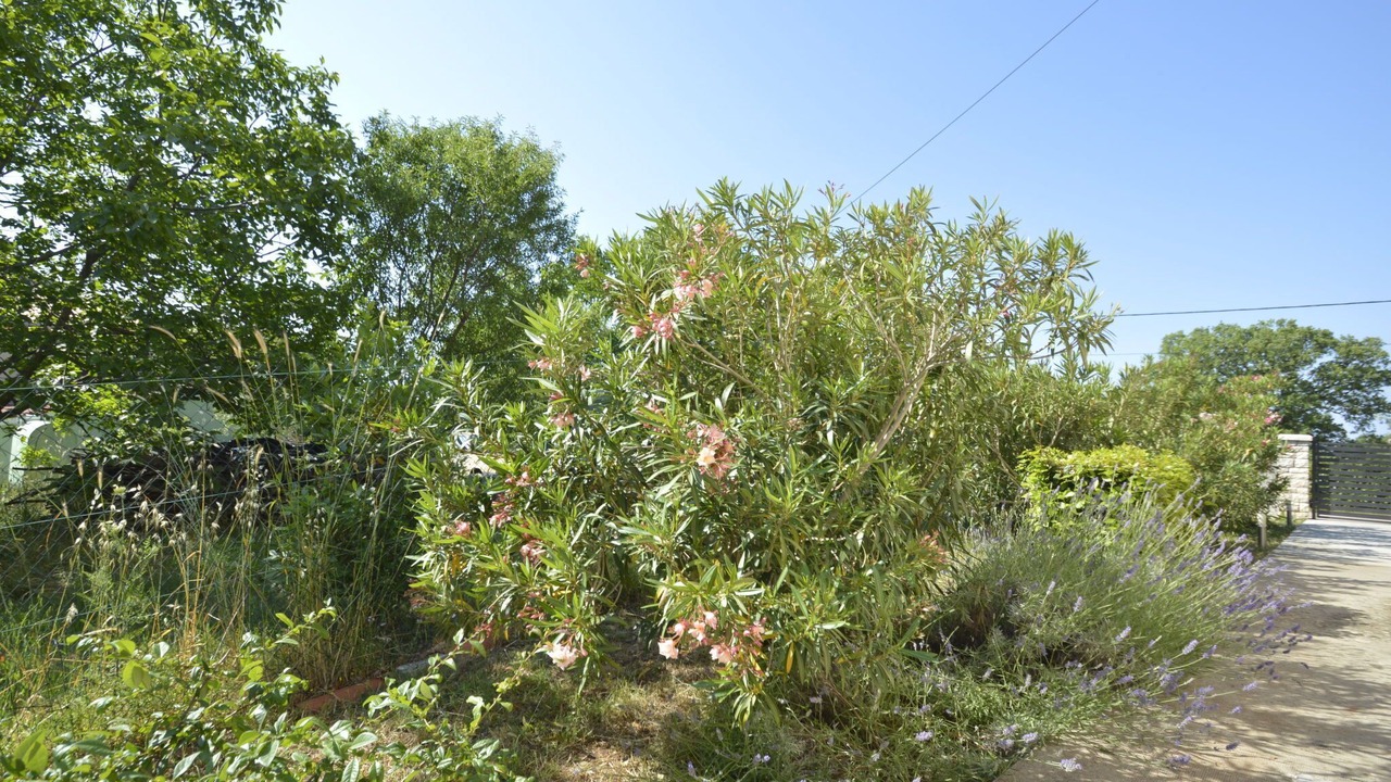 Photo of Outdoor in Krnica