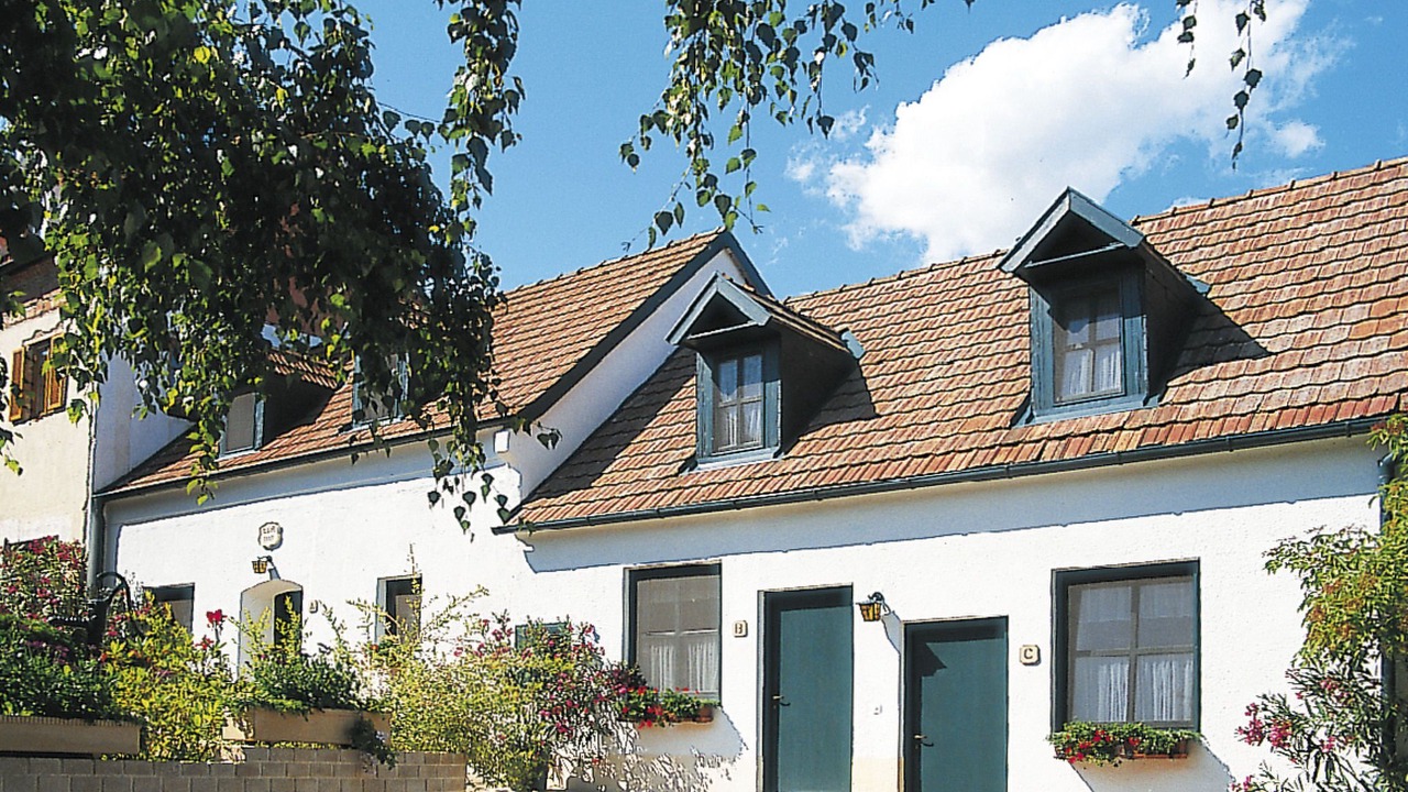 Photo of Others in Morbisch am See