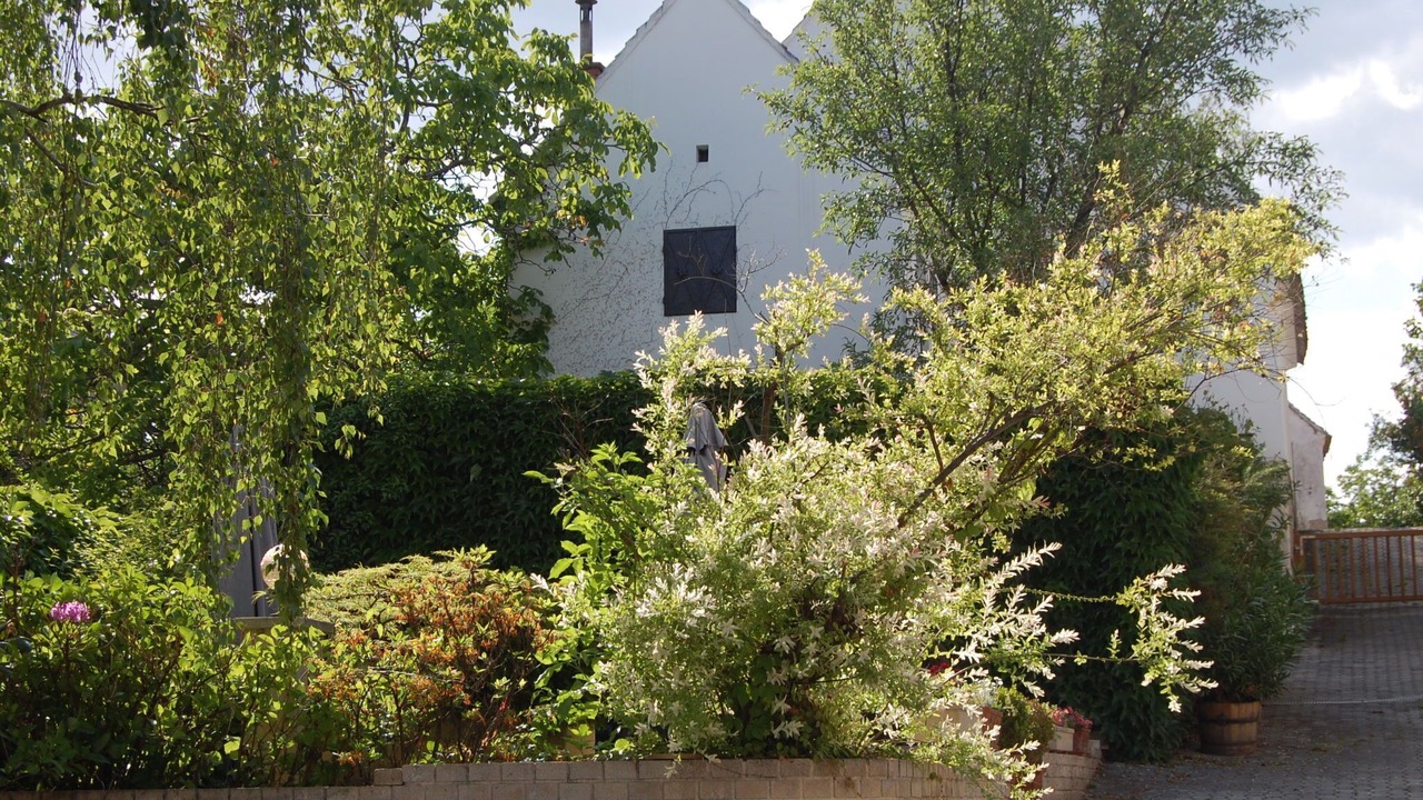 Photo of Others in Morbisch am See