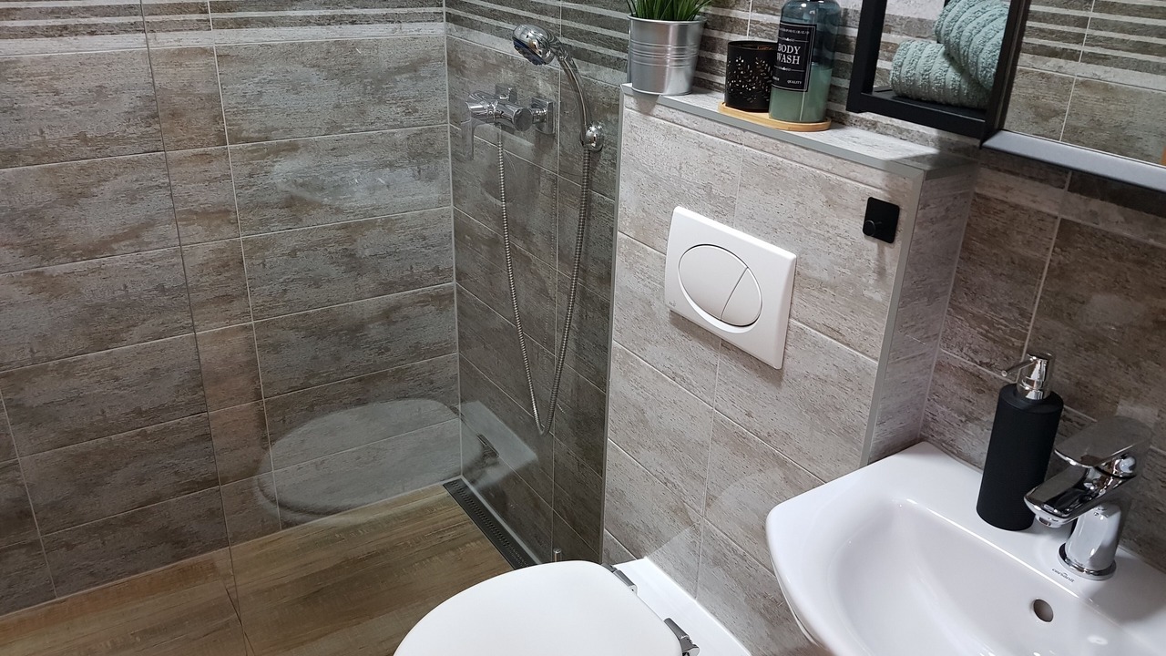 Photo of Bathroom in Bribir