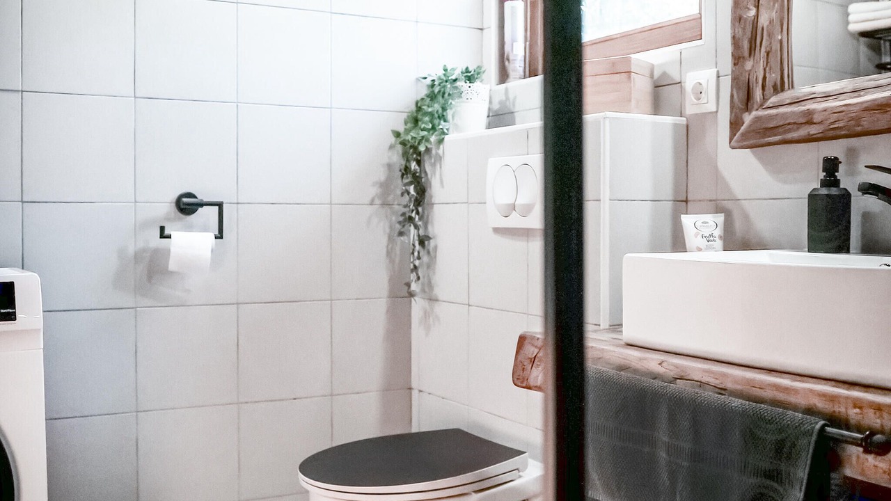 Photo of Bathroom in Zumberak