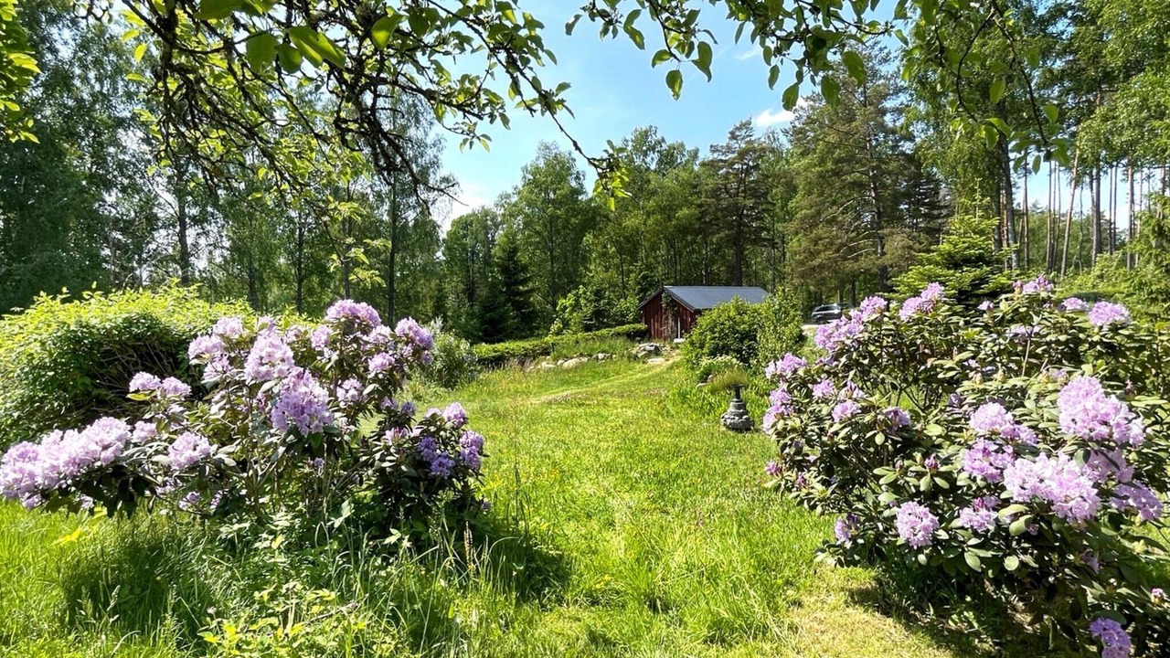 Photo of Outdoor in Norrkoping O
