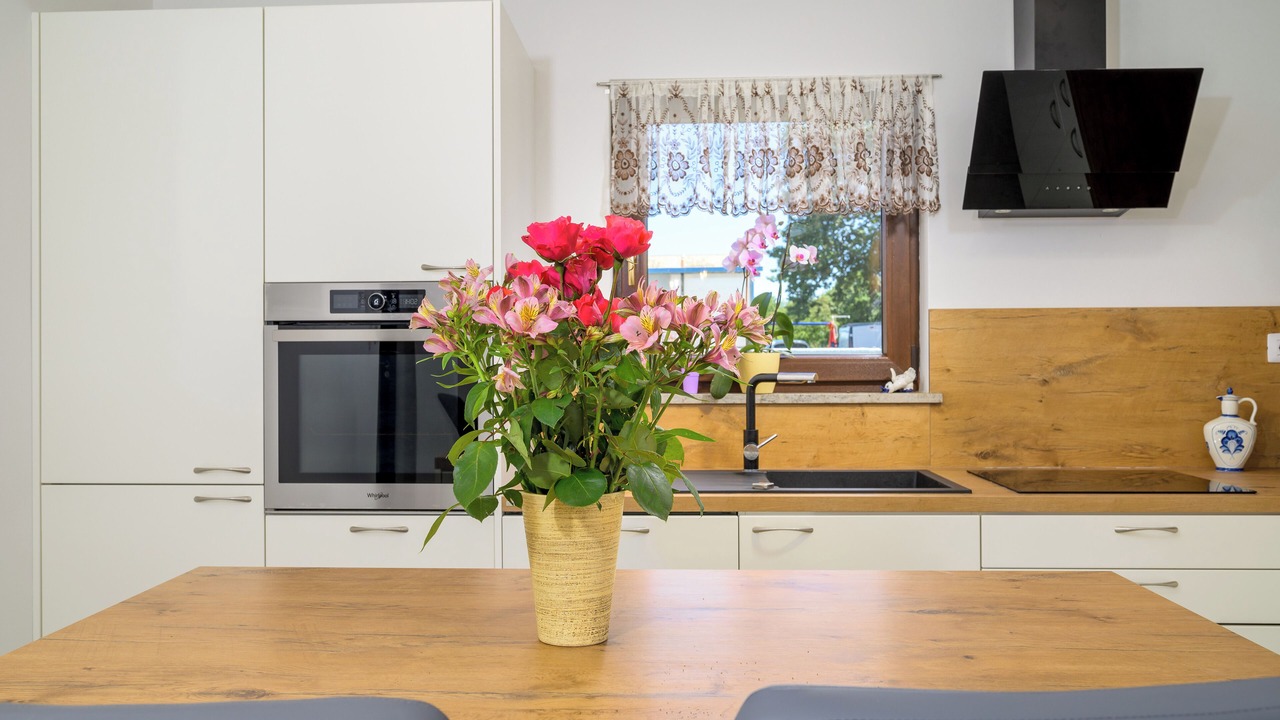 Photo of Kitchen in Rebici