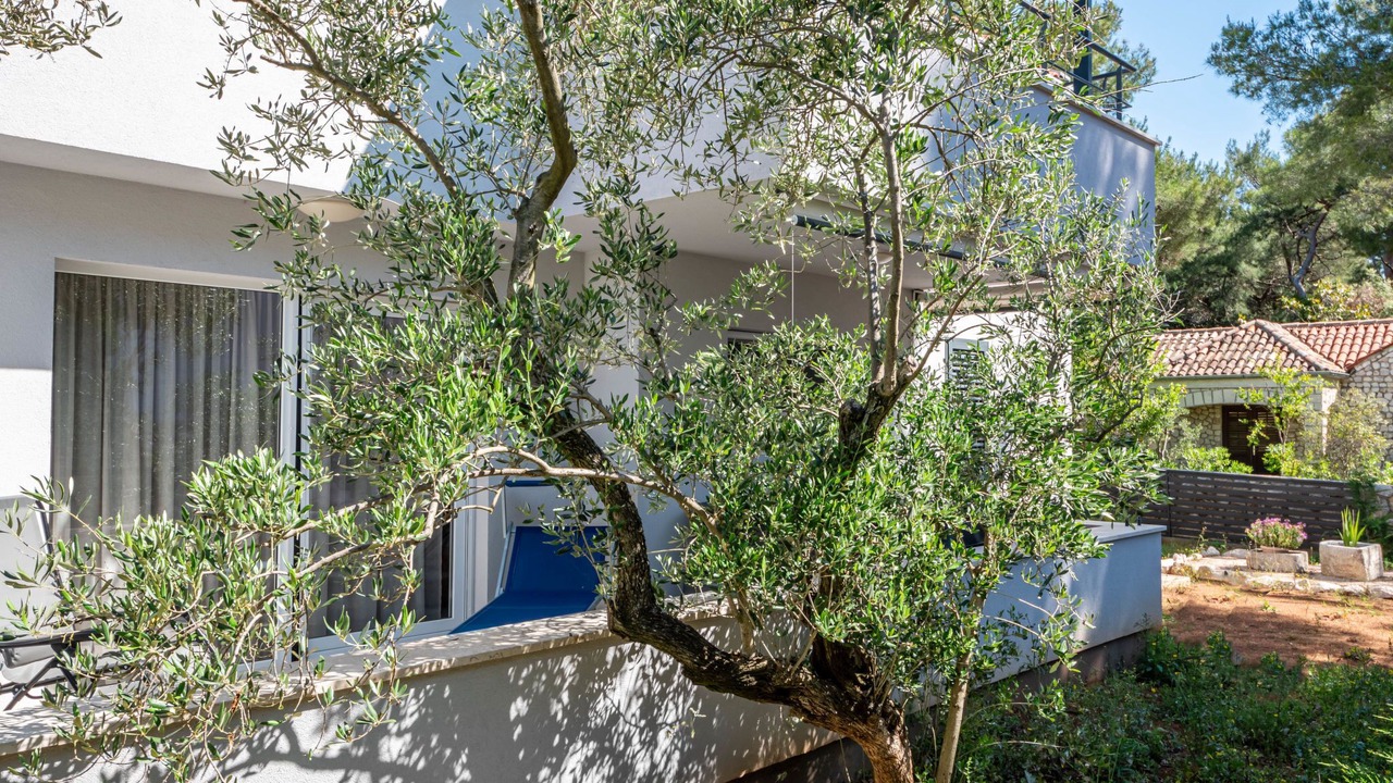 Photo of Outdoor in Artatore