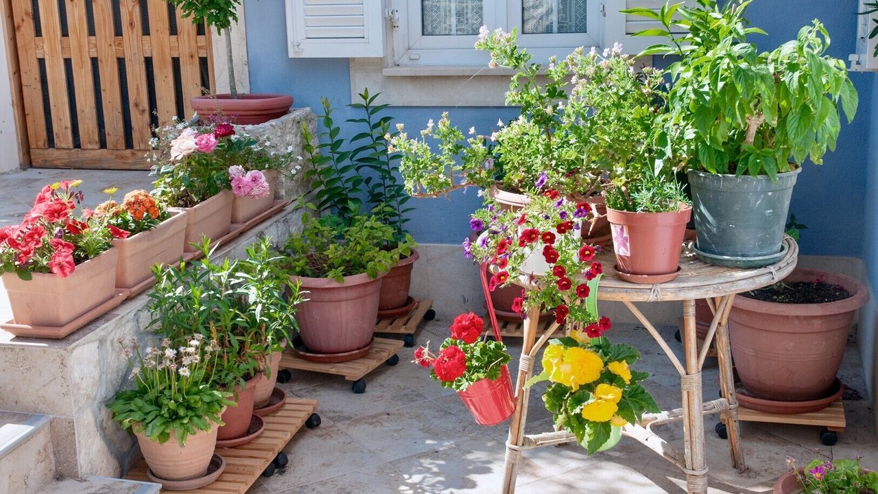 Photo of Patio Balcony in Nerezine
