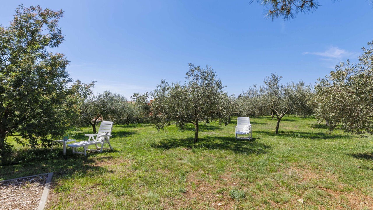 Photo of Outdoor in Orbanici