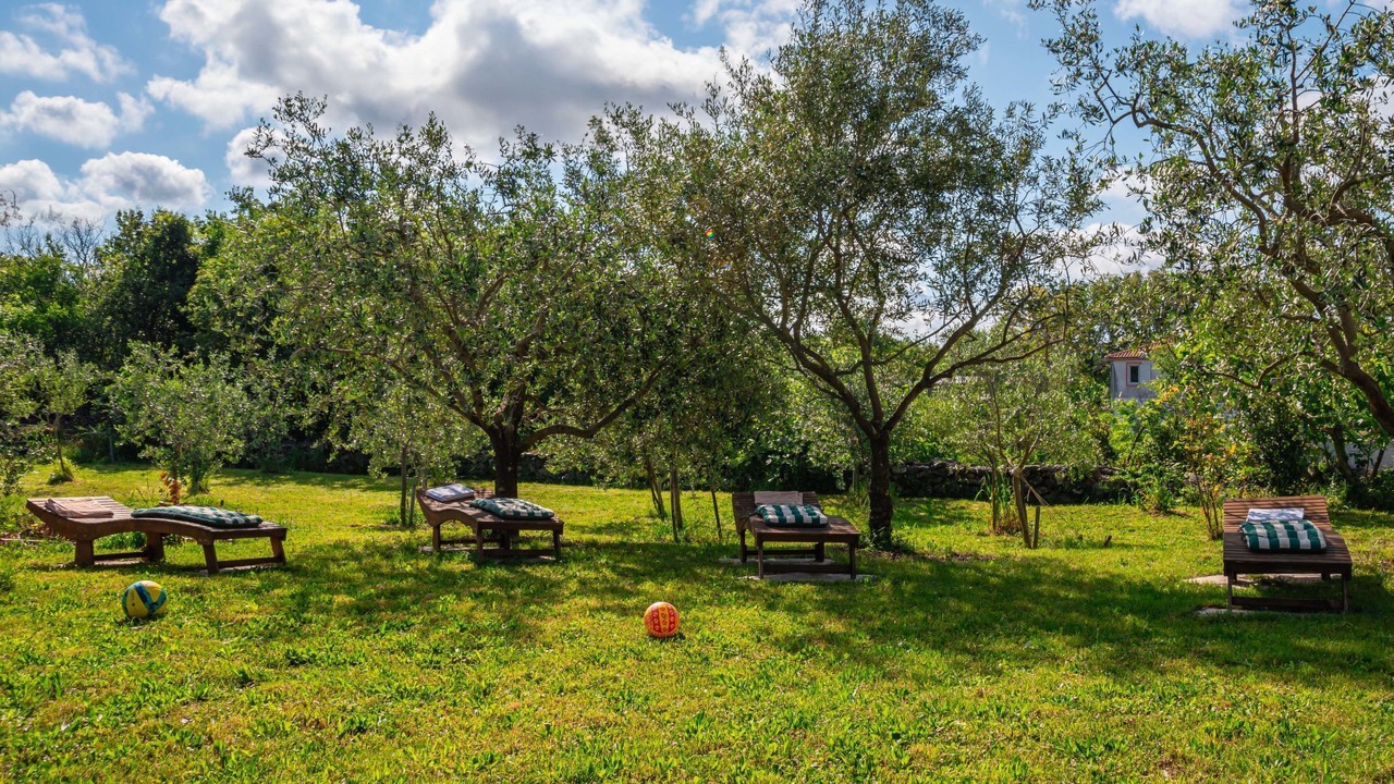 Photo of Outdoor in Kras