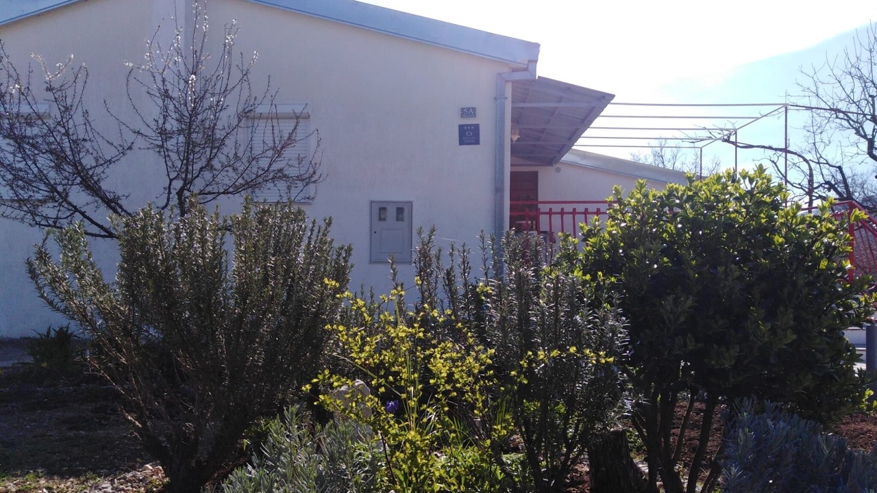 Photo of Outdoor in Srijane