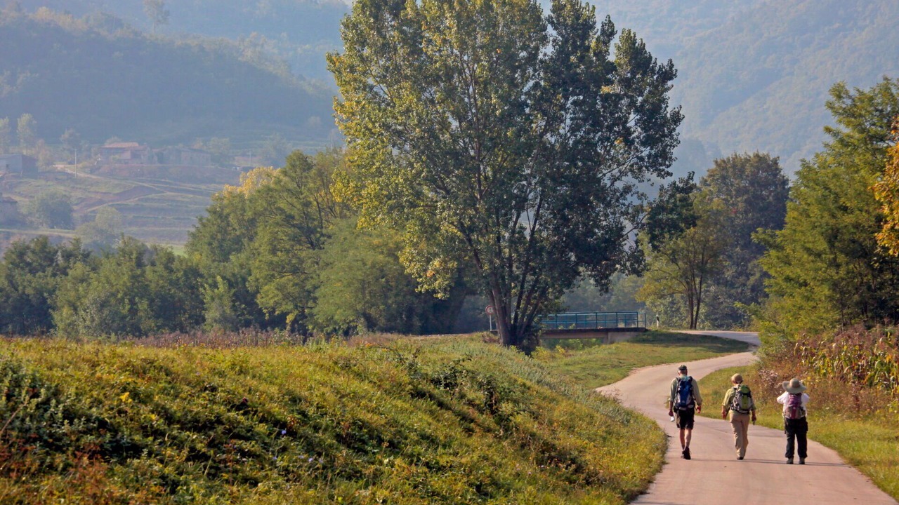 Photo of Others in Golubici